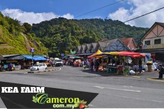 Homestay Cameron CH - Tanah Rata - 3