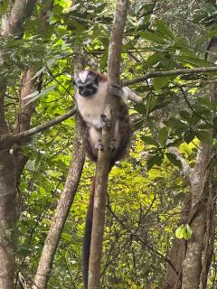 Aqeel cabin in the nature - 6