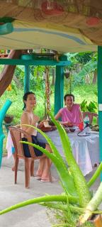 Rana Treehouse - Piduragala - 7