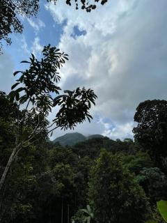 Gallene Gala Nature Resort - Kitulgala - 4