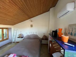 The orange house - 6