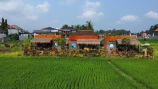 Nila Chandra Bungalows - Ubud - 9