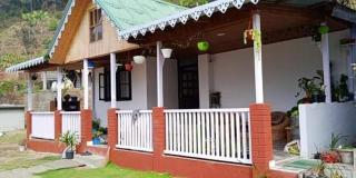 The cliff cottage - Gangtok - 5