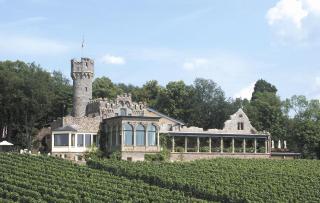 Relais & Châteaux Hotel Burg Schwarzenstein - Geisenheim - 8