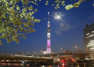 YI Hotel101 Direct Skytree convenience facilities - Tokyo - 7