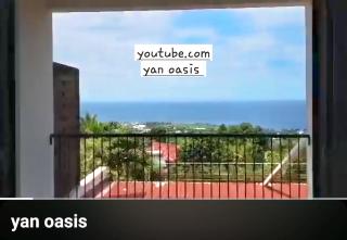 Yan oasis - Saint-Joseph - 1