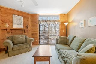 Swiss Mountain - 1 Bedroom - S3705 condo - 9