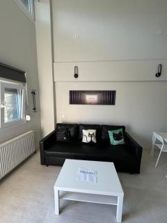 Loft 66 - Ioannina - 2