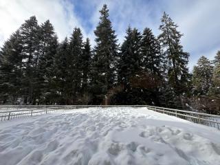 SnowLine Flora - Borovets - 8