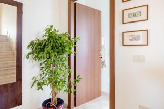 Casa di Sandra - Fiumicino - 1