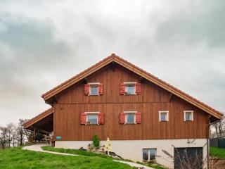 Le Chalet au vieux vignoble avec espace Sauna et Jacuzzi - 4