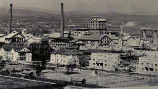 Europa Ocna Mures - 2