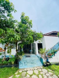 Moon Light Guest - 8