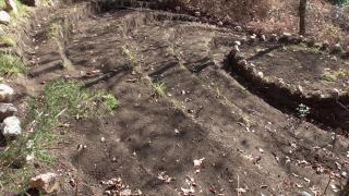 Ecoaldea Vegetariana y Vegana Espiral - Cabeceiras de Basto - 1