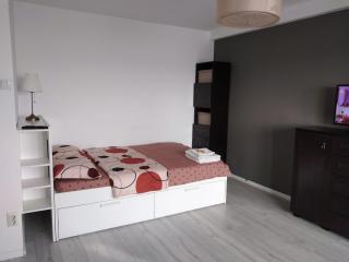 Superb 1BR apartment with Air Conditioner - Bucarest - 6