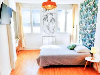 Élégant appt in Paris- Cozy & Bright - Rouen - 2