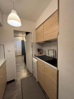 Studio cosy 5 personnes aux pieds des pistes. - Le Dévoluy - 2