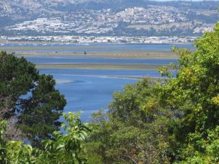 Belvidere Studio - Knysna - 3