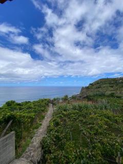 Ocean Guest House - 7