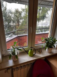 Ciche mieszkanie, Kielce obok Ogrodu botanicznego - Kielce - 3
