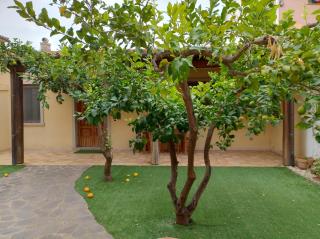 Casa INDIPENDENTE - Arzachena - 3