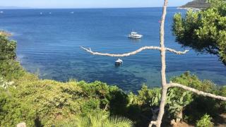 Villa Ray Beach - Capoliveri - 9