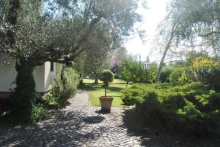 la spiaggetta - Bracciano - 2