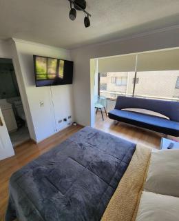 Lovely apartment with jacuzzi - Santiago - 1