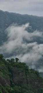 Mistyland - Mamalakandam - 6