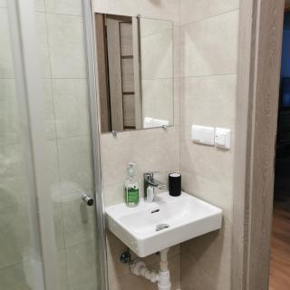 Adelės apartamentai - Druskininkai - 1