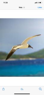 Apartamento karma - Culebra - 8