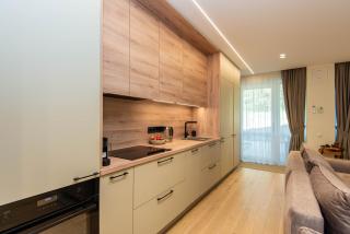 Pinecone terrace - 2 bedrooms apartment with terrace Nida - Nida - 3