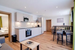 Alpen Gasthof Apartments Hohe Burg - Trins - 6
