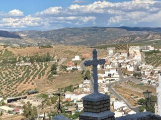 Dehesilla Olive Orchard Retreat - 2