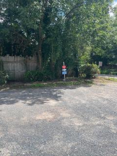 Très bel appartement au cœur des Vosges - 1