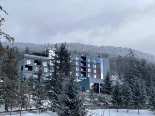 Peakture Hotel Balvanyos - Balvanyos - 8