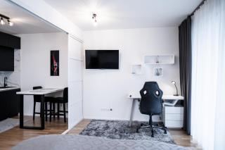Luxury city centre Apartment - Praga - 2