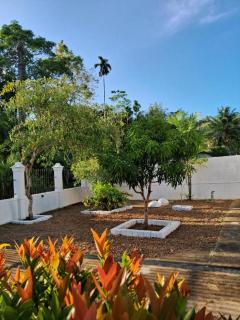 Metara Guest House - Weligama - 9