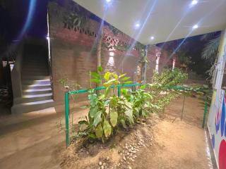 Salatoos Mango Garden and Guesthouse - Assuan - 3
