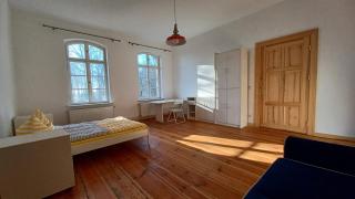 "Parkwohnung" im Kunstgut Krahne - Krahne - 3