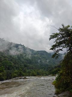 The Serene Cottage - 7