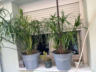 The Makrina flat - Salonicco - 7