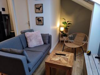 VKLS 4 Appartement T2 - Languidic - 9