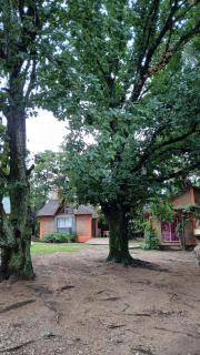 Cabañas Lago Azul - 2