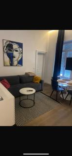 Apartment Baron II - Zagabria - 6