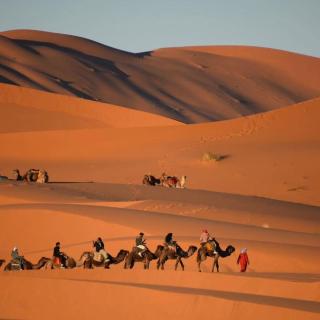 Happy luxury camp - Merzouga - 0