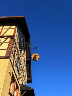 Boardinghouse Zur Rose - Leidersbach - 6