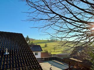 Boardinghouse Zur Rose - Leidersbach - 1