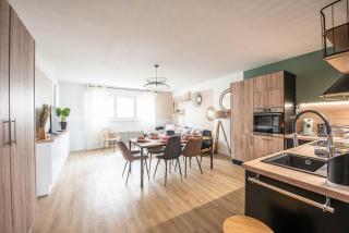 Beautiful apartment in downtown Schuman - Mulhouse - 4