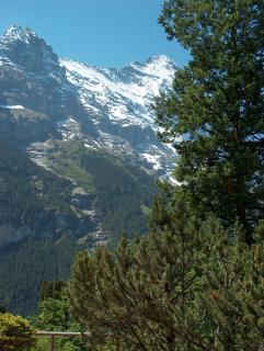 FERIENWOHNUNGEN Chalet Hohturnen - Grindelwald - 5